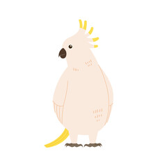 white cockatiel. simple hand drawn style bird illustration