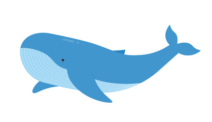 Marine life illustration. whale side view.