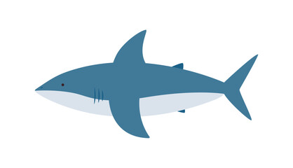 Marine life illustration. Side view of the shark.