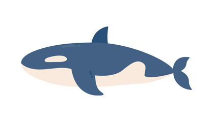 Marine life illustration. Killer whale side view.