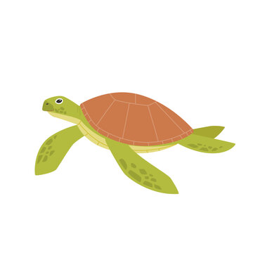 Turtle reptile illustration swimming in the sea. simple hand drawn style illustration