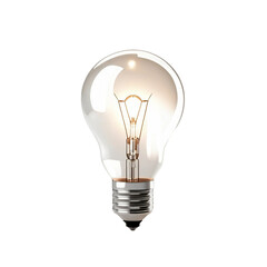 Electric bulb.