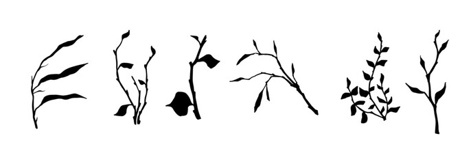Set of silhouettes,doodles of plants,branches with leaves.Vector graphics.