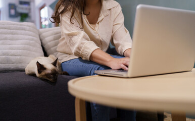 woman working from home with cat. cat asleep on the laptop keyboard. assistant cat working at Laptop