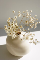Ceramic vase with dry daisy flowers and sunlight shadow on white table . Botanical poster.Aesthetic...