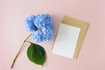 Card mockup, envelope and blue hydrangea flower top view on pink background with copy space. Blank, greeting card template.