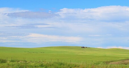 Hulunbuir Grassland, is a world famous natural pasture, is one of the world's four grasslands, known as the world's best grassland.