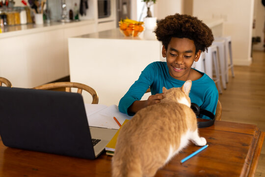 Happy African American Boy Sitting At Table Using Laptop For Online Class, With His Pet Cat