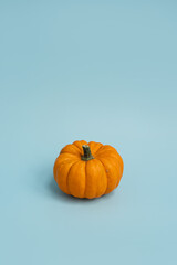 Beautiful decorative pumpkin on light blue background. Autumn fall season concept