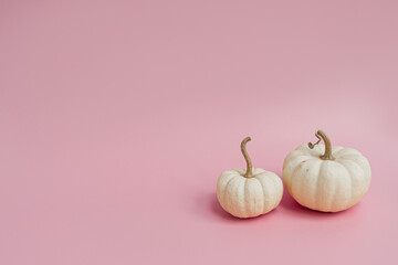 Small decorative pumpkins on pastel pink background. Autumn, fall, thanksgiving or halloween concept. Copy space