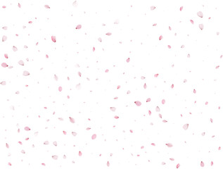 Spring Sakura Background.