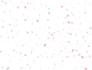 Spring Sakura Background.