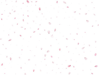 Spring Sakura Background.