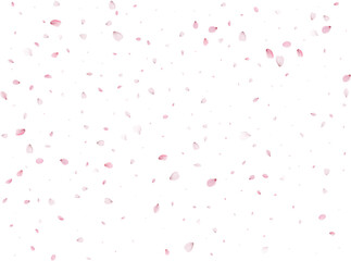 Spring Sakura Background.