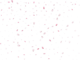 Spring Sakura Background.