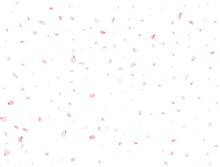 Spring Sakura Background.