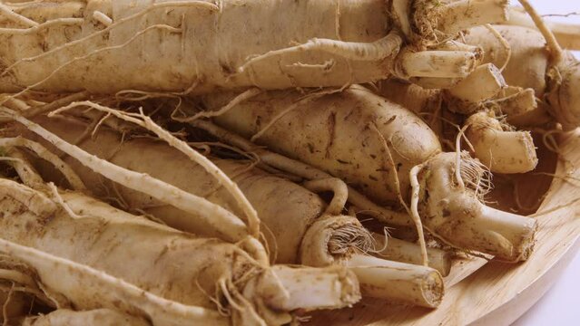 Close up shot of several Ginseng roots are rotating. Ginseng (Panax ginseng) is very popular and has the ability to treat health problems