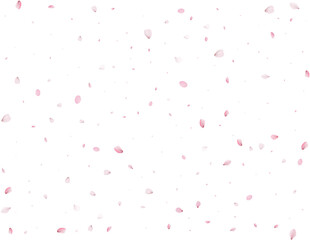 Spring Sakura Background.