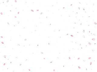 Spring Sakura Background.