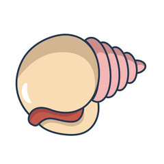Vector illustration of seashell isolated on white background