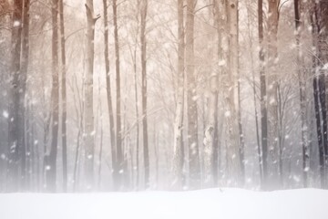 Blurry image of a winter forest small snow drifts and light background