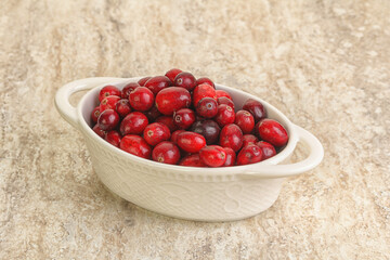 Ripe sweet tasty cranberry in the bowl