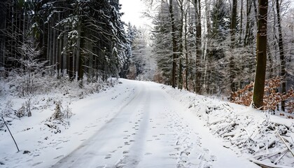 road in winter forest, snow covered road in the middle of a forest, frozen trees, winter, snow, cold, road, tree, landscape, forest, nature, white, trees, path, frozen, snowy, wood, AI Generated