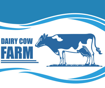 blue dairy milk cow banner, silhouette of healthy cattle standing vector illustrations, this image is perfect as company promotions panner, or poster, shirts print etc