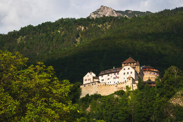 Fototapeta na wymiar View to Vaduz castle