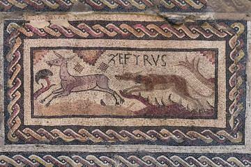 In the ruins of Santa Cruz villa