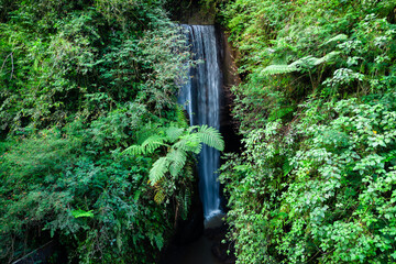 Goa Raja waterfall located at Bangli Regency in bali, indonesia