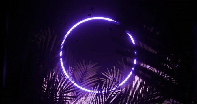 Animation of data processing and glowing purple neon circle on black background