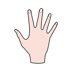 Fototapeta premium hand sign isolated on white