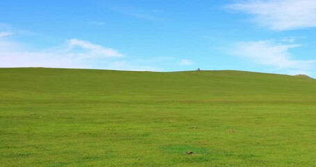 Hulunbuir Grassland, is a world famous natural pasture, is one of the world's four grasslands, known as the world's best grassland.