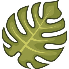Monstera Trofical Leaf