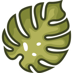 Monstera Trofical Leaf