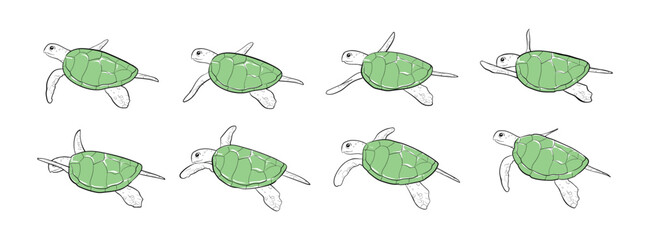 Sea ​​turtle swimming. Animation frames