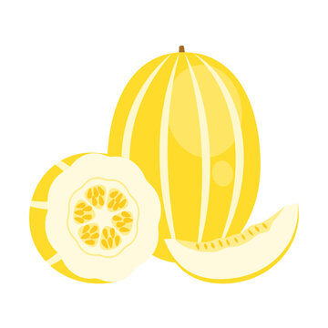 Yellow Korean melon whole fruit, slice and half isolated on white background. Cucumis melo, oriental melon, muskmelon or chamoe icon. Vector illustration of tropical exotic fruits in flat style.