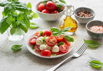 Caprese salad with tomatoes, mozzarella and basil.