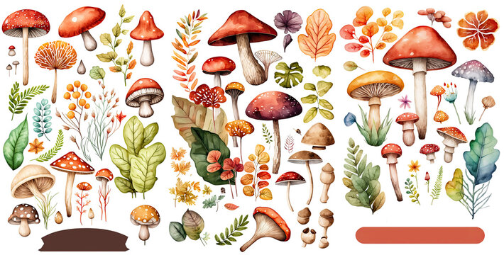 Set Of Watercolor Mushroom Brown Red And Orange Color Green Leaves Branches Illustration , Elegant Watercolor , Isolated Transparent Background, PNG.