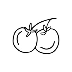 hand drawn vector illustration of cherry tomato on a branch