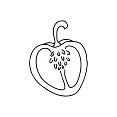 Hand drawn vector illustration bell pepper.
