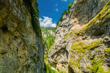 Trigrad gorge canyon of vertical marble rocks in rhodope mountains