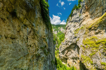 Fototapeta na wymiar Trigrad gorge canyon of vertical marble rocks in rhodope mountains