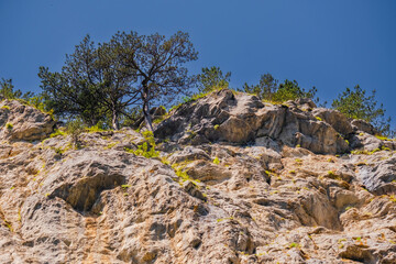 Trigrad gorge canyon of vertical marble rocks in rhodope mountains