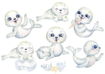 Set of cute baby seal poses. Watercolor collection of cartoon funny little northern animals. Hand drawn illustration. Perfect for kids greeting cards and invitations, baby shower
