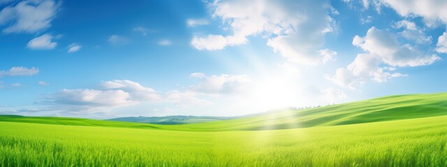 Fototapeta na wymiar Natural panoramic landscape with spring meadow with curved horizon line. Field bright juicy green grass against a blue sky with clouds and sun flare