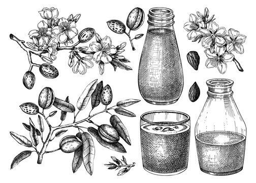 Almond milk set. Dairy products design elements. Plant milk in glass, bottle, almond nut, blooming branches with leaves and flowers sketches. Nut milk, healthy drink vector illustrations for packaging