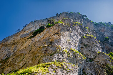 Trigrad gorge canyon of vertical marble rocks in rhodope mountains