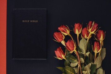 Holy Bible and red rose on the black background
